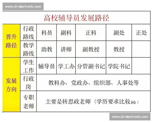 探索篮球职业机会的多元化发展路径与职业成长方向